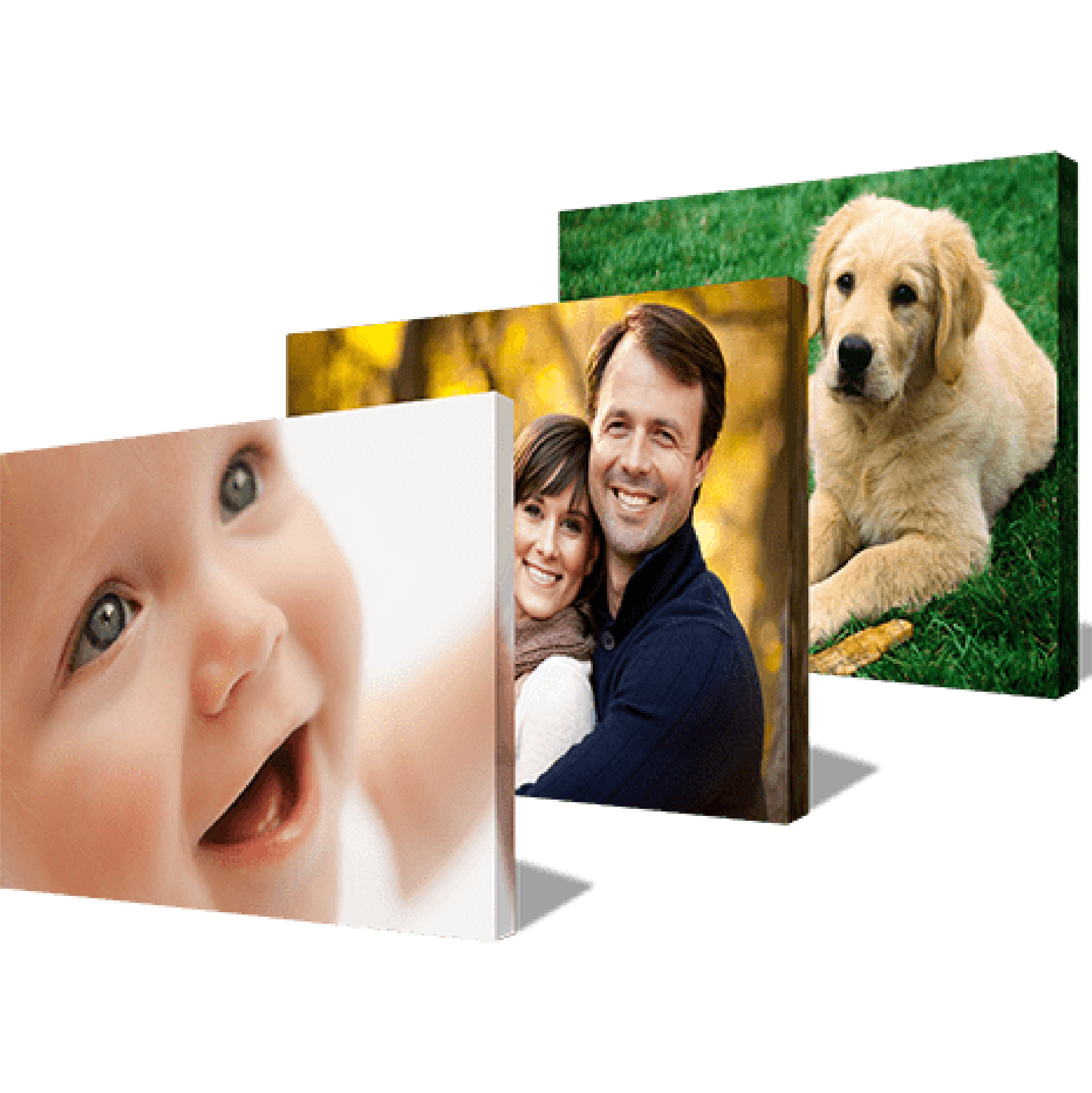 Asset-24.webp